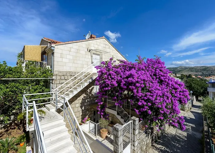 Apartment Tolja