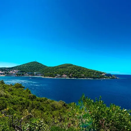 Διαμέρισμα Tolja